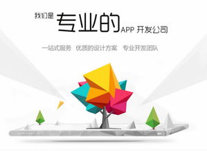 福州APP開(kāi)發(fā)費(fèi)用解析與網(wǎng)絡(luò)開(kāi)發(fā)質(zhì)量保障