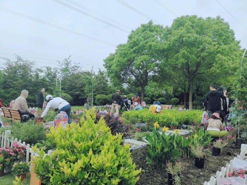 從菜地式種植到花園式管理 睦鄰花園與社區園藝師擦出美麗火花